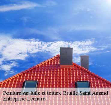 Peinture sur tuile et toiture  bruille-saint-amand-59199 Entreprise Léonard