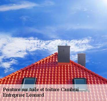 Peinture sur tuile et toiture  cambrai-59400 Entreprise Léonard