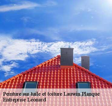 Peinture sur tuile et toiture  lauwin-planque-59553 Entreprise Léonard