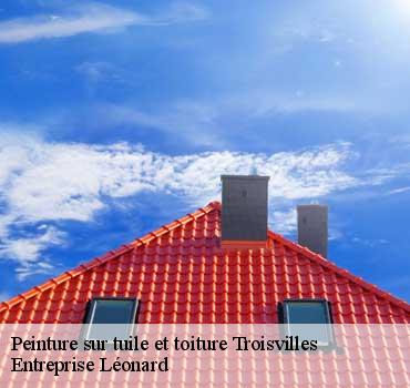 Peinture sur tuile et toiture  troisvilles-59980 Entreprise Léonard