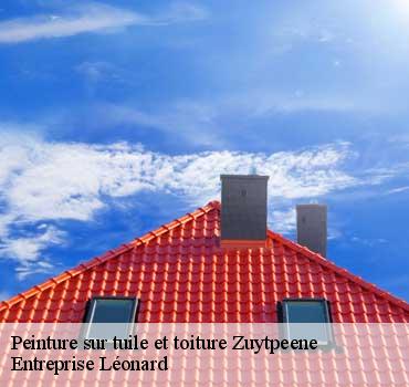 Peinture sur tuile et toiture  zuytpeene-59670 Entreprise Léonard