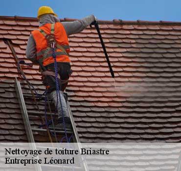 Nettoyage de toiture  briastre-59730 Entreprise Léonard