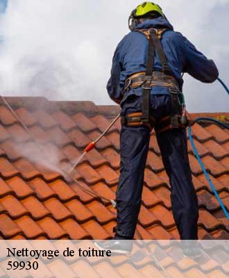 Nettoyage de toiture  la-chapelle-d-armentieres-59930 Entreprise Léonard