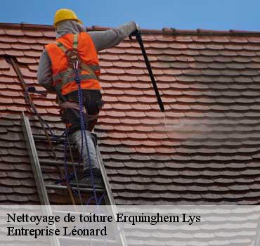 Nettoyage de toiture  erquinghem-lys-59193 Entreprise Léonard