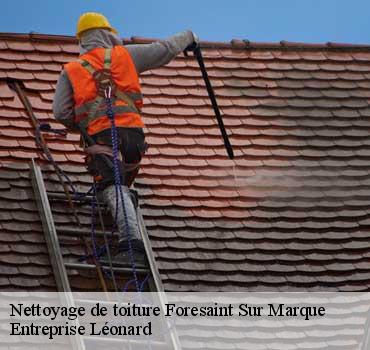 Nettoyage de toiture  foresaint-sur-marque-59510 Entreprise Léonard