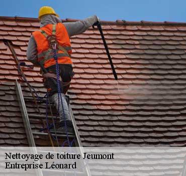 Nettoyage de toiture  jeumont-59460 Entreprise Léonard