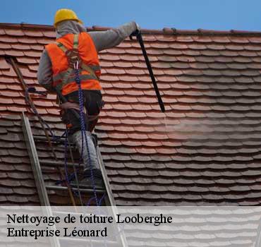 Nettoyage de toiture  looberghe-59630 Entreprise Léonard