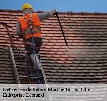 Nettoyage de toiture  marquette-lez-lille-59520 Entreprise Léonard