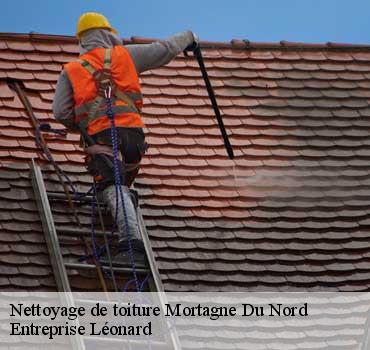 Nettoyage de toiture  mortagne-du-nord-59158 Entreprise Léonard