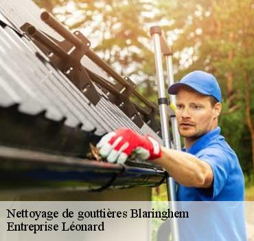 Nettoyage de gouttières  blaringhem-59173 Entreprise Léonard