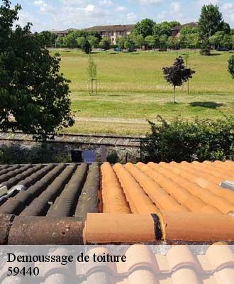 Demoussage de toiture  saint-hilaire-sur-helpe-59440 Entreprise Léonard