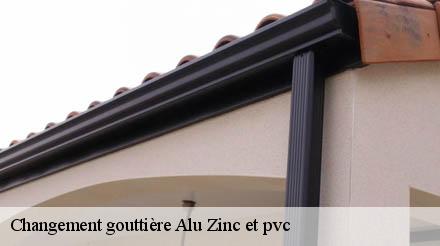 Changement gouttière Alu Zinc et pvc  bevillers-59217 Entreprise Léonard