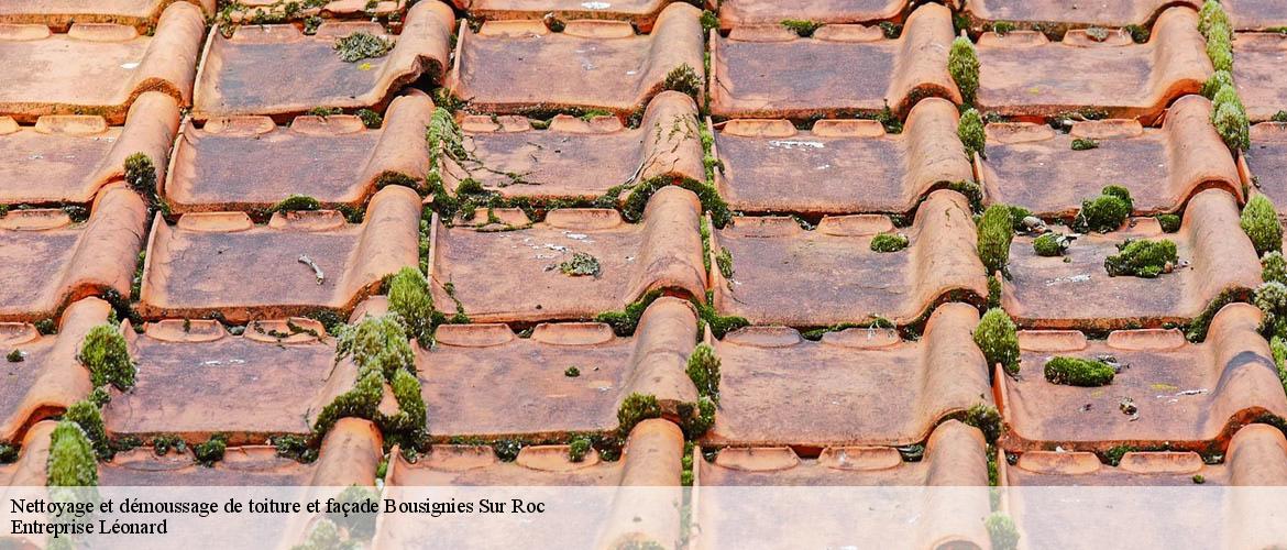 Nettoyage et démoussage de toiture et façade  bousignies-sur-roc-59149 Entreprise Léonard