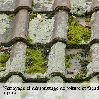 Nettoyage et démoussage de toiture et façade  frelinghien-59236 Entreprise Léonard