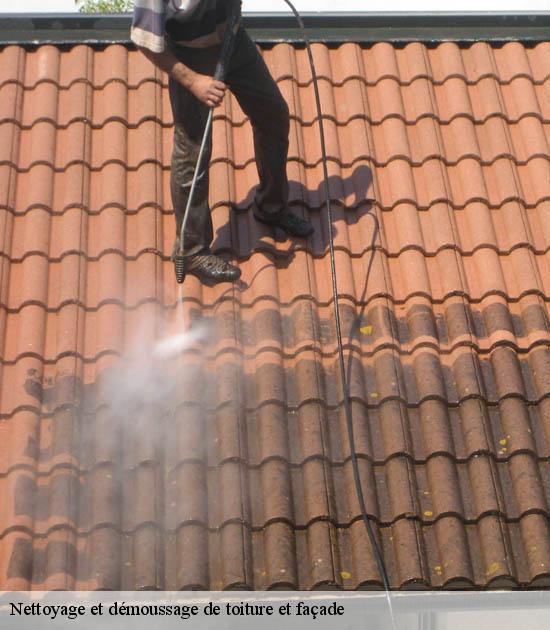 Nettoyage et démoussage de toiture et façade  frelinghien-59236 Entreprise Léonard