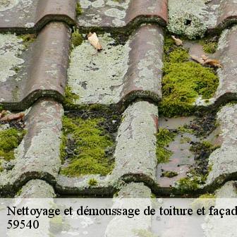 Nettoyage et démoussage de toiture et façade  inchy-59540 Entreprise Léonard