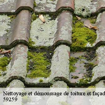 Nettoyage et démoussage de toiture et façade  lecluse-59259 Entreprise Léonard