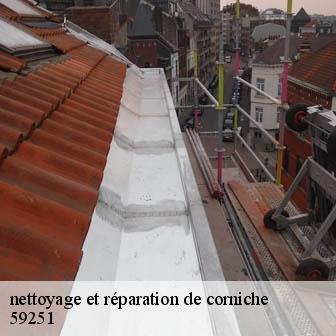 nettoyage et réparation de corniche  allennes-les-marais-59251 Entreprise Léonard