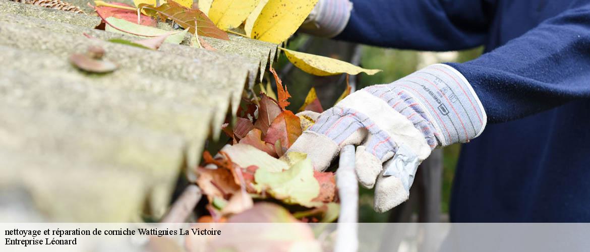 nettoyage et réparation de corniche  wattignies-la-victoire-59680 Entreprise Léonard